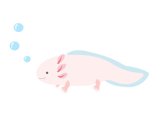 ぷくぷくウーパールーパー