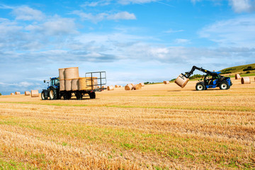 Fototapeta premium collection of straw bales at sunset