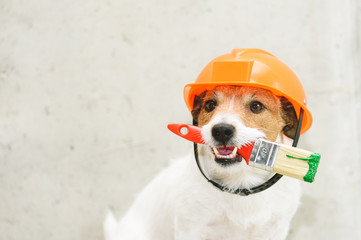 Dog as funny house painter with paintbrush against concrete wall