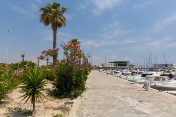 Guardamar del Segura Marina de las Dunas with palm trees Costa Blanca Spain © acceleratorhams