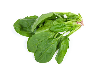 Stems with leaves of fresh spinach on a white background