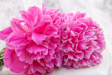 close-up beautiful bouquet with large flowers peonies, just cut, lies on a white stool against the backdrop of curtains. Romantic pink flower bouquet
