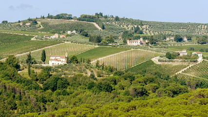Typical landscape of Chianti classico in the municipality of Greve, Tuscany, Italy