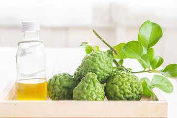 Bergamot and green leafs