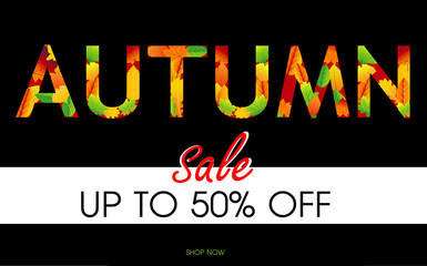Autumn sale vector banner background with fall leaves elements, autumn typography and discount text. Vector illustration.