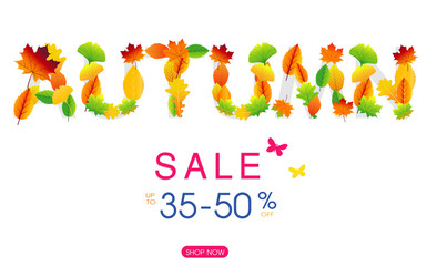 Autumn sale vector banner background with fall leaves elements, autumn typography and discount text in  white background. Vector illustration