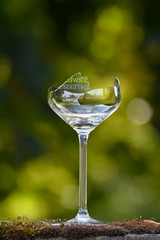 zerbrochenes weinglas