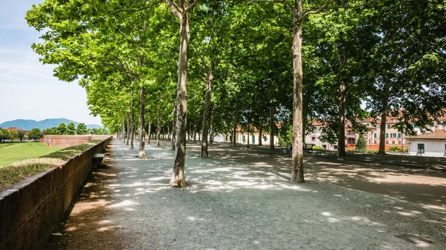 Timelapse della passeggiata delle Mura di Lucca nei pressi del baluardo Santa Maria
