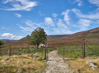 An Old Cast Iron and rusted Deer Gate stands across the footpath to Mt Keen in the Angus Glens on one hot Summers day in July. Scotland.