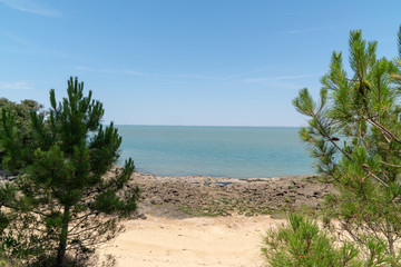 Fototapeta na wymiar sandy beach atlantic ocean coast on the island of ile d'Aix Charente France