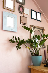 Fototapeta na wymiar collection of various blank black frames on wall with modern decoration, green plant in a lovely home retro design