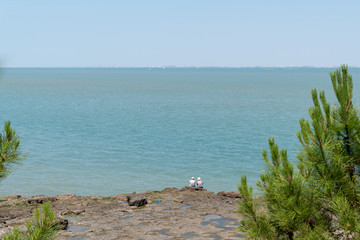large view beach atlantic ocean on isle of Aix in Charente France