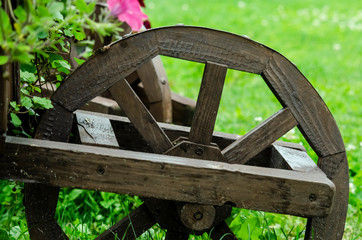 An old whooden wheel of a wheelbarrow
