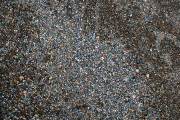The texture of a shallow river stone. Pebble Background Image