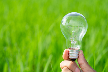 Hand holding light bulb in Nature background, Energy in nature concept