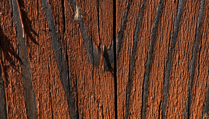 Texture of old wood. Background image. Macro photo