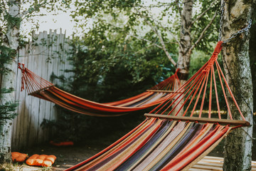 hammock in the forest