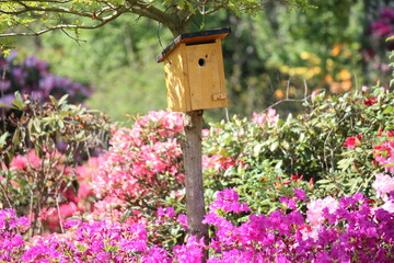 Vogelhaus inmitten einem Blumenmeer