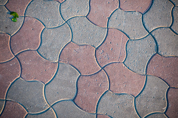 Texture of paving slabs overgrown with grass. Background image of a stratum stone