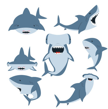  White shark and Hammerhead shark vector set