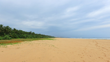 Wild tropical beach and ocean in Sri Lanka