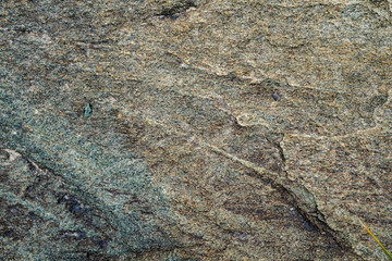 The texture of the stone overgrown with moss. Background image of a boulder