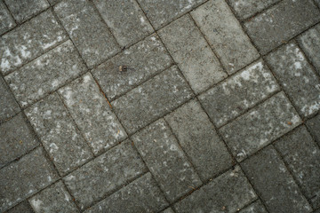Texture of paving slabs overgrown with grass. Background image of a stratum stone
