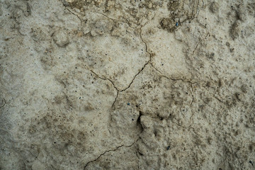 Texture of dried cracked clay. Macro background image of dried clay