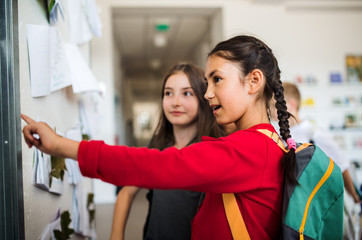 Two cheerful small school girl friends with bags standing and looking at notice board.
