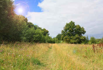 Fototapeta na wymiar Beautiful summer landscape with road in the field