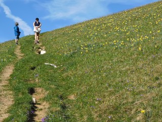 randonnée en montagne - alpage du charmant som en chartreuse