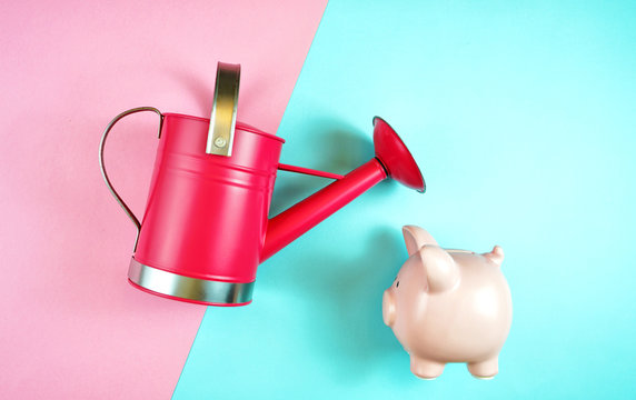 Making money grow, savings and investments concept with piggy bank and watering can, with copy space.