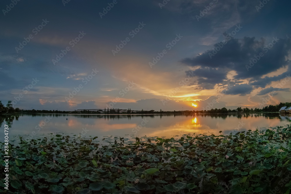 Wall mural lake view evening above lotus lake with cloudy and yellow sun light in the sky background, sunset at