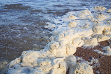 Dirty Sea foam or Whipping cream ocean, Pollution of environment