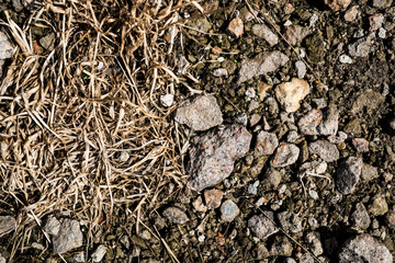 The texture of the earth