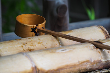 Water Bamboo Ladle