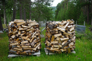 Firewood