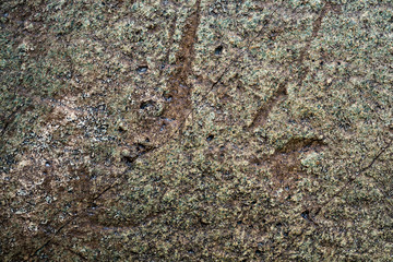 The texture of the stone overgrown with moss. Background image of a boulder
