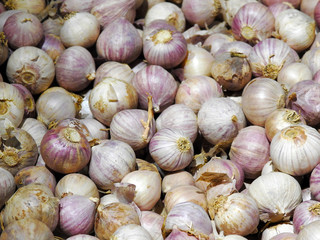 Dry garlic. Great background. Food    