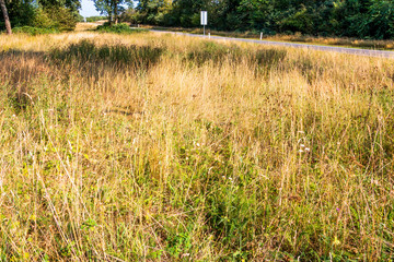 Extreme drought in the Netherlands in summertime with high temperatures and no rain probably caused by climate change