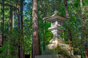 新潟 弥彦神社 参道の灯篭