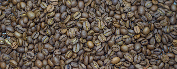 coffee beans on a white background place for text background