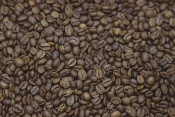 coffee beans on a white background place for text background