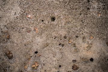 The texture of concrete