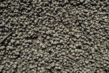 Texture of lifeless river dried river bed