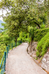 Fototapeta premium Meran, Tappeinerweg, Panoramaweg, Spazierweg, Dorf Tirol, Vinschgau Weinberge,, Sommer, Südtirol, Italien