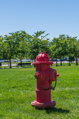 Fototapeta na wymiar Fire hydrant in grass field
