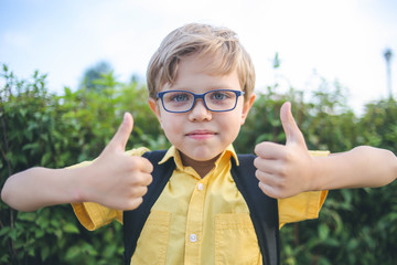 Portrait of blond boy with glasses showing thumbs up in park