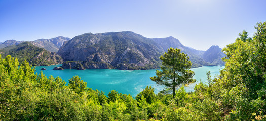 Plakat Panorama of Green Canyon surrounded by trees