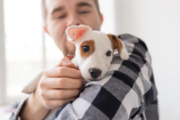 People and pet concept - Close up portrait of jack russell terrier puppy sitting on the man's hands